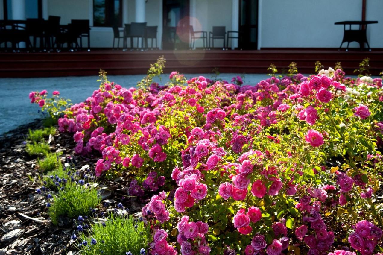 Отель Hotel i Restauracja Różany Dwór Skrzeszew-17